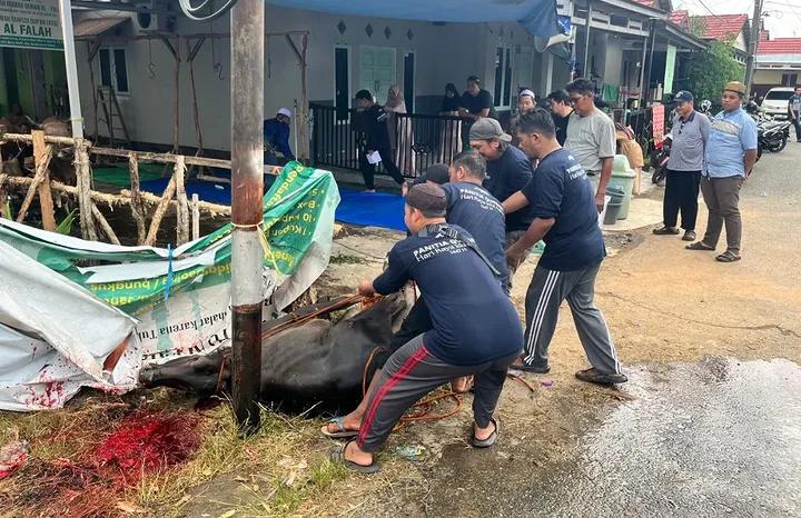 Rumah Tahfidz Qur'an Al-Falah Melaksanakan Kegiatan Qur'ban Tahun 2026